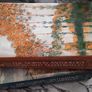 The Norton Anthology of World Masterpieces - Volume 1 & 2 Image 2