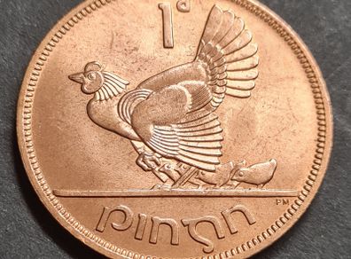 Excellent Ireland 1966 Penny 1d Coin Full Lustre