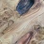 Very Rare Bog Oak Table Image 7