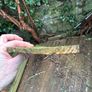 Free firewood Image 3