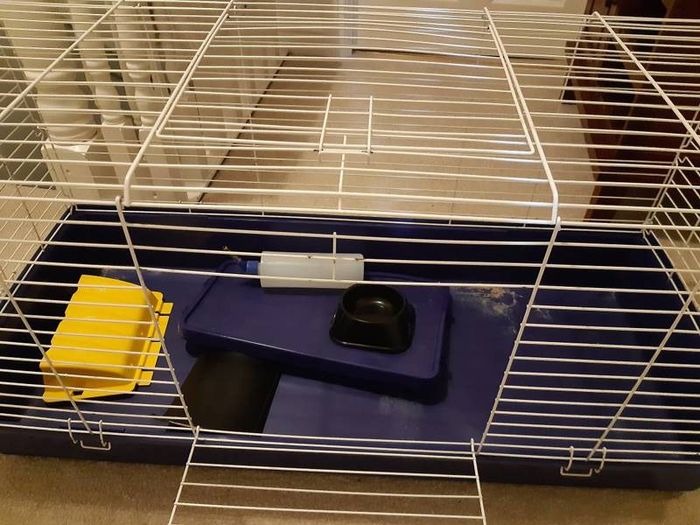 Guinea Pig Cage