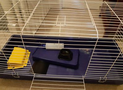 Guinea Pig Cage