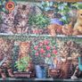 Jigsaw 4x500 cats Image 5
