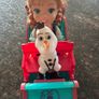 Disney Anna & Olaf Image 6