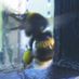 tomasz.880
