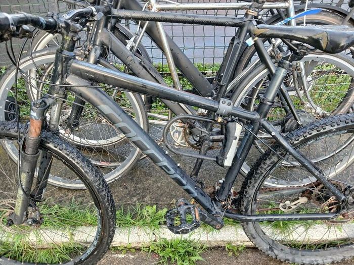 carrerra bike