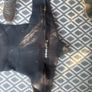scubapro novascotia 7.5 semidry suit Image 2