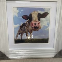 Framed Cow Picture