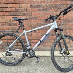 Adult Mountain Bike
