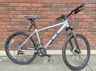 Adult Mountain Bike
