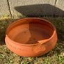 Plastic & Terracotta Pots Image 4