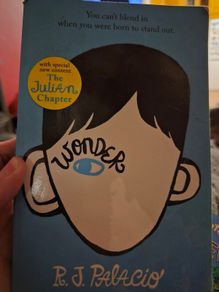 Wonder book