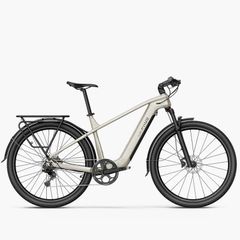 FIIDO NOMADS Touring Electric Bike