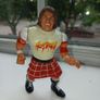 Rowdy Roddy Piper Hasbro WWF Image 2