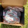 airbag clockspring Image 3