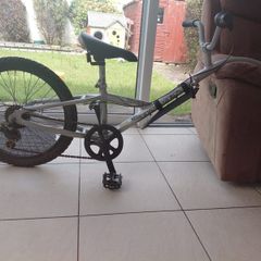 Tag along bike