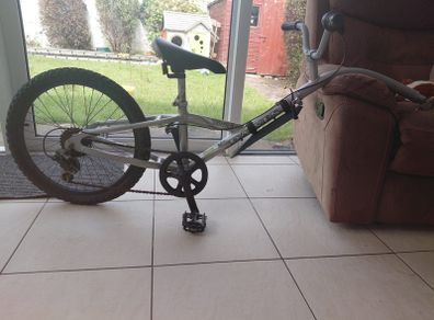 Tag along bike
