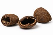 Cocos pod 6-8cm 1pcs