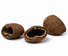 Cocos pod 6-8cm 1pcs