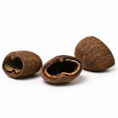 Cocos pod 6-8cm 1pcs