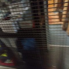 wire mesh