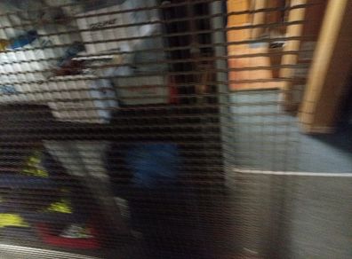wire mesh