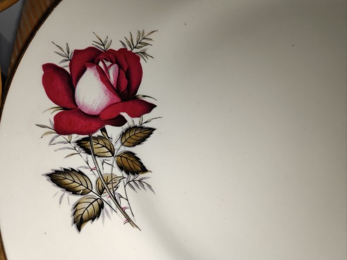 Arklow Pottery  Autumn Rose Large Serving/Meat Oval Platter, L 34 cm