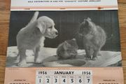 1956 Calendar Advertisement