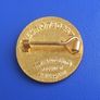 NATIONAL UNION of TOWNSWOMEN'S GUILD (NUTG) - a vintage membership badge in pristine condition (1930's - 1950's) Image 3