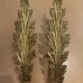 Brass Curtain Tie-Backs Image 2