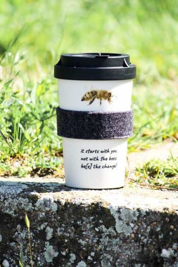 Heybico - Bee the Change - Sustainable Travel Cup