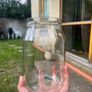 20 cents each jar Image 5