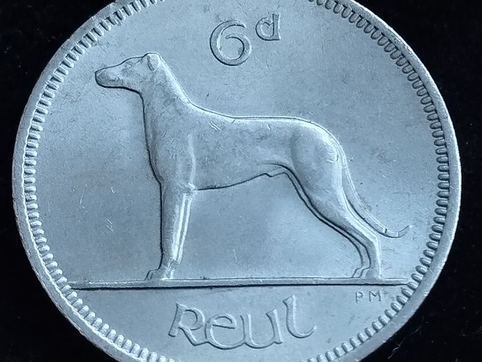 Ireland - 1962 - 6 Pence - Wolfhound - AU - KM.13a - [2718]