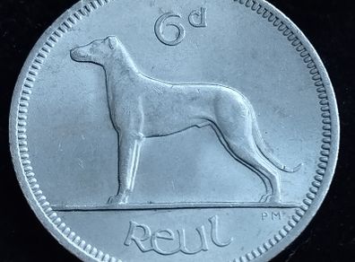 Ireland - 1962 - 6 Pence - Wolfhound - AU - KM.13a - [2718]
