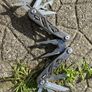 GERBER suspension CLEAROUT camping multitool edc fishing camping Image 3