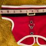 Christmas Dog Harness Image 4