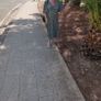 Dress/FREE postage Image 6