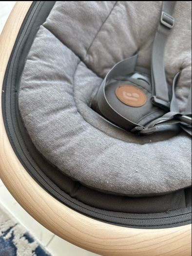 Baby bouncer