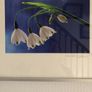 Snowdrops Image 2