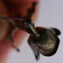 Vintage Sterling Silver Rose Brooch Sterling Flower Brooch Signed 925 - 3,4g Image 8