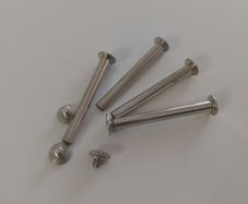 Parent screw, Book/Album binding screw, Screw Rivet Bolt
