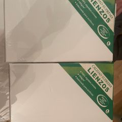 2 New Blank Artist Canvases