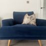 Navy velvet sofa and cuddle chair from Michael Murphy furniture Image 3
