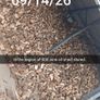 firewood  Mullingar Image 8