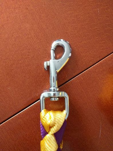4ft (120cm) dog leash yellow&purple.