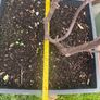 plant Image 5