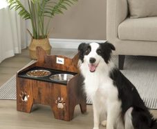 Pet Feeding Station (Free Delivery)