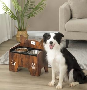 Pet Feeding Station (Free Delivery)