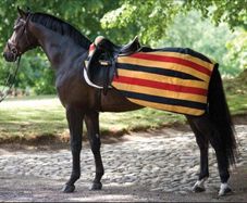 Horseware Exercise Fleece