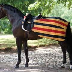 Horseware Exercise Fleece